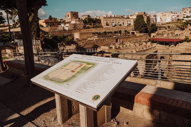Pompeii and Herculaneum small group Excursion from Naples - Small-Group Size, Driver Help, and Real Pacing