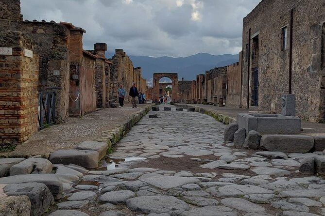 Pompeii and Herculaneum with Wine Tour - Price and value: what your $423.99 likely becomes on arrival