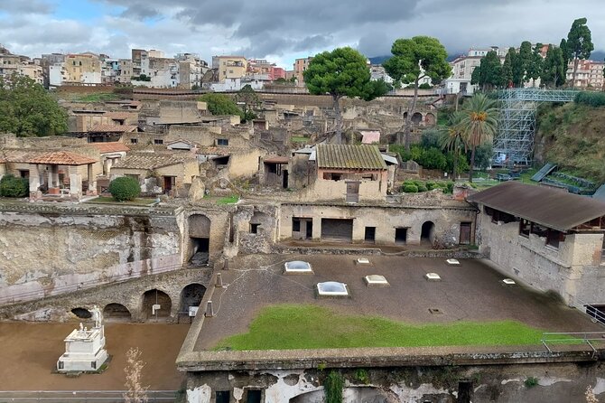 Pompeii and Herculaneum with Wine Tour - Parco Acheologico di Ercolano (Herculaneum): smaller footprint, easier to picture