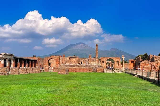 Pompeii and Mount Vesuvius SELECT tour - Mount Vesuvius Summit: Views Without the Climb