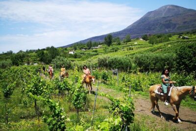 Pompeii Guided Tour & Horse Riding on Vesuvius with Lunch - Stop by stop: what you’ll do and what to watch for