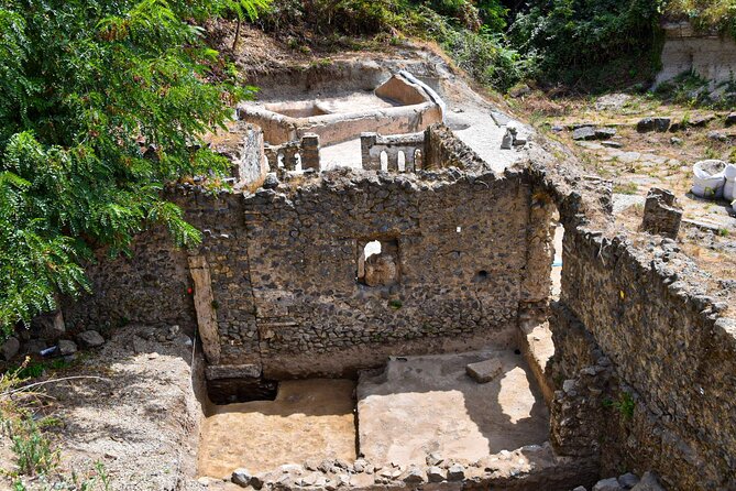 Pompeii Guided Tour & Lunch with Superior Wine Tasting - Guided Pompeii: What a 2-Hour Walk Really Gives You