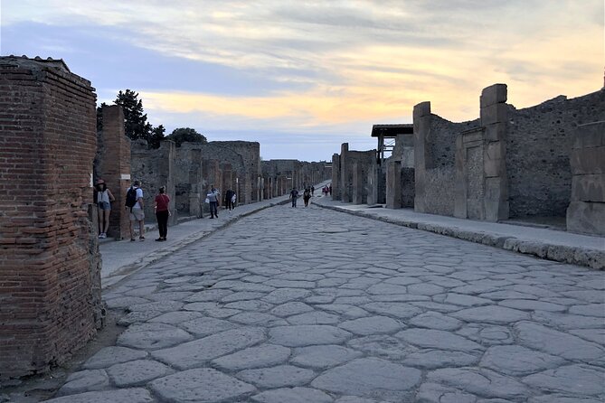 Pompeii Guided Tour with Skip the Line Entry - Price and value: is $58.87 worth it?