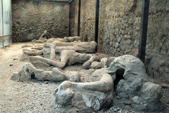 Pompeii Guided Walking Tour with Ticket - Pompeii Archaeological Park: houses, baths, theatre, and the brothel zone