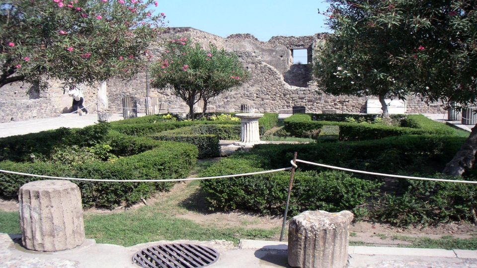 Pompeii Half-Day Coach Tour from Sorrento - Practical tips to make your half-day smoother