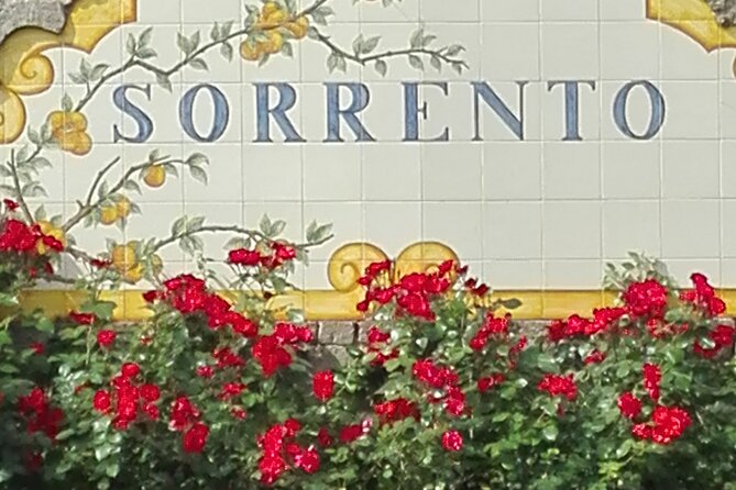 Pompeii Half-Day Tour from Sorrento - Sorrento Pickup and the Calm Ride to Pompeii