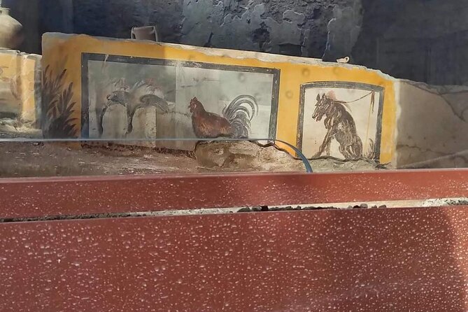 Pompeii Herculaneum - Price and value: what $540.71 really means