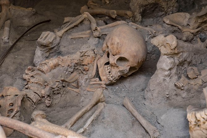 Pompeii, Herculaneum and Winery on Vesuvius with an Archaeologist - What the $861 per group really buys you (and what you’ll still pay)