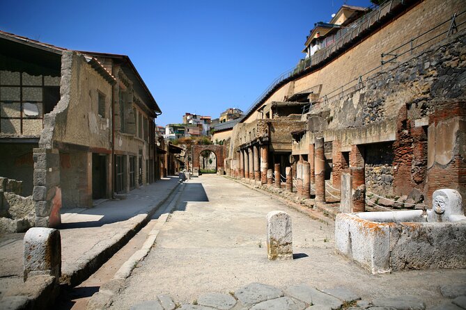 Pompeii & Herculaneum Family Adventure | Guide+Transport+Tickets - Price and value: why $738.31 can make sense for families