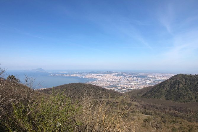 Pompeii, Herculaneum & Mt. Vesuvius Guided Tour from Sorrento - Should You Book This Pompeii, Herculaneum & Vesuvius Tour?