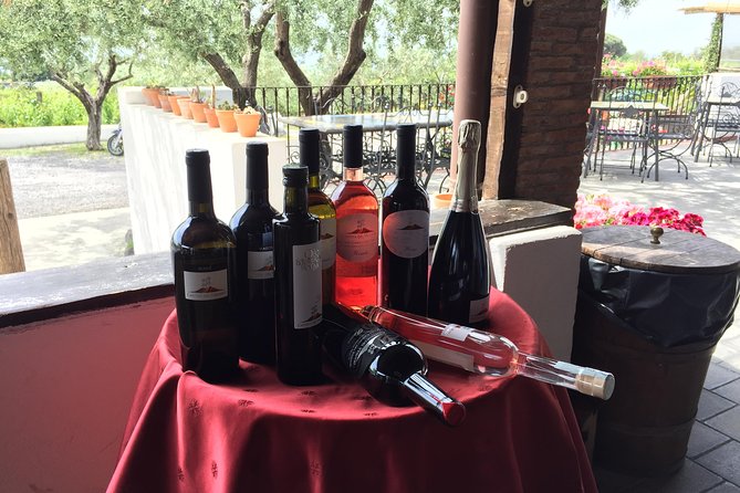 Pompeii-Herculaneum-Wine tour from Sorrento, with licensed guide included - Price and logistics: is this worth $573.20 per person?