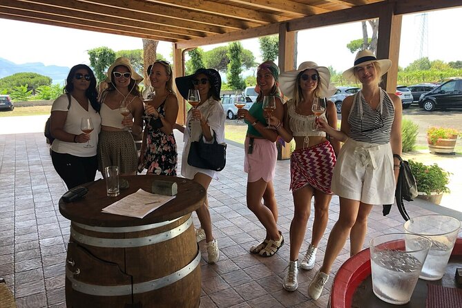 Pompeii, Herculaneum & Wine Tour, with Licensed Guide included - Who this Pompeii–Herculaneum–wine tour is for