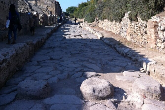 Pompeii, Herculaneum & Wine Tour, with Licensed Guide included - The Jose factor: why the guide/driver vibe matters on this kind of day