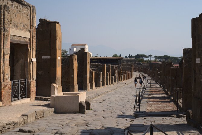 Pompeii & Mount Vesuvius Private Tour with Guide - Pompeii Archaeological Park: guided by an archaeologist, paced by you