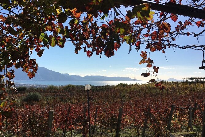 Pompeii, Mt Vesuvius and Wine Tour - Price breakdown: what you pay now vs what you pay on-site