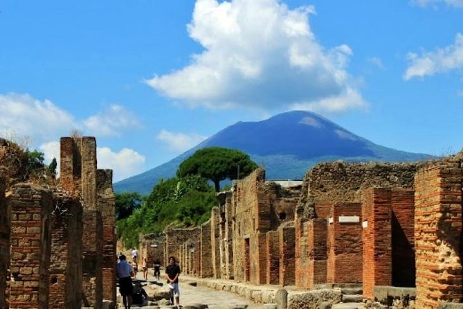 Pompeii, Mt Vesuvius and Wine Tour - Mount Vesuvius hike to the crater rim: steep, dusty, and windy