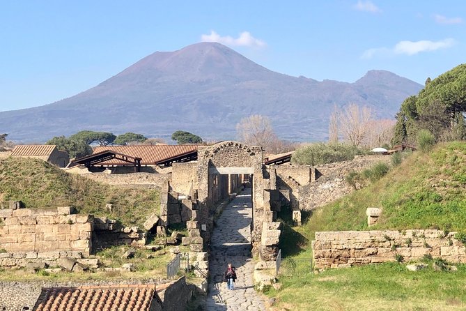 Pompeii New Discoveries Private Guided Tour - What you’ll actually do in those 2 hours at Pompeii