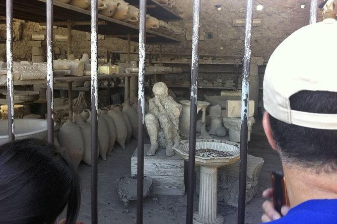 Pompeii New Discoveries Private Guided Tour - Price and value: paying for the guide, plus the entrance fee
