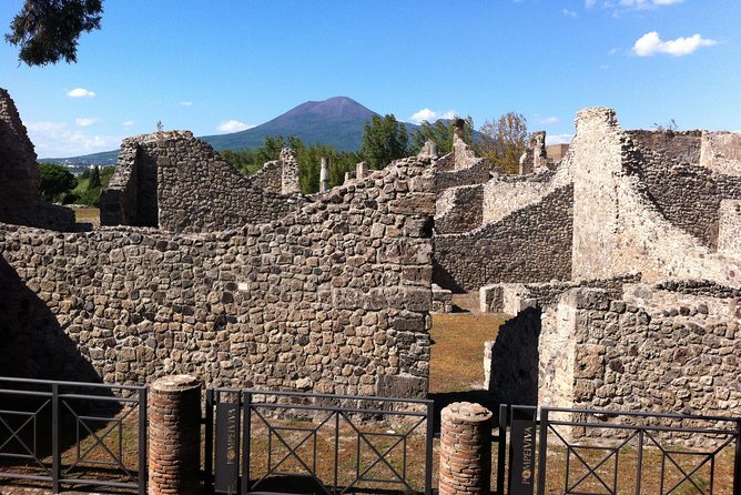 Pompeii Private Half-Day Tour from: Naples,Sorrento, Amalfi Coast - Tickets, names, and identity checks: the key preparation