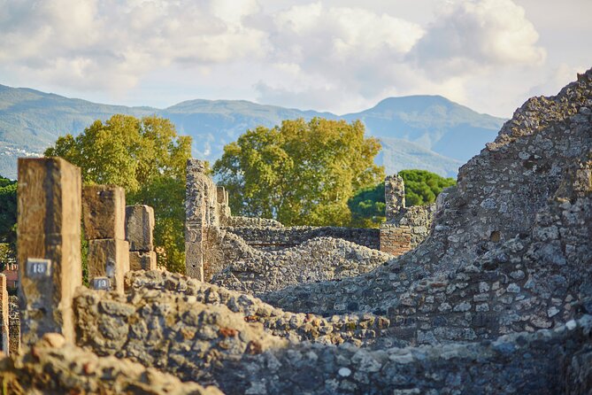Pompeii Private & Personalized Tour with archeology expert guide - Headsets and small-group listening (when it matters)