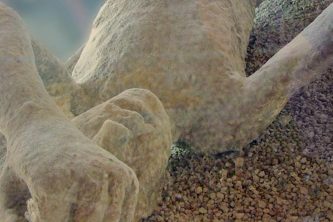 Pompeii Private Tour from Sorrento Entrance fees included - Practical Tips So Your Half Day Feels Easy
