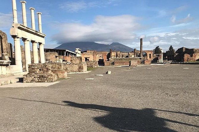 Pompeii Private Tour with Expert Guide - Price and value: $98.51 plus tickets