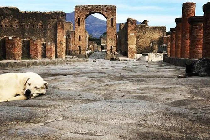 Pompeii Private Tour with Expert Guide - Priority admission: what it changes (and what it doesn’t)