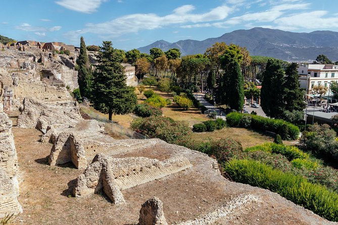 Pompeii PRIVATE TOUR With Locals: Ticket & Guide Included - Getting into Pompeii fast: tickets, meeting point, and smart start