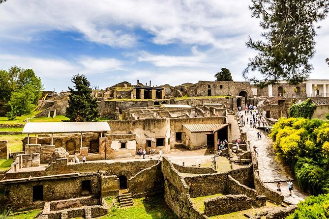 Pompeii Skip-the-Line Entry & Guided Tour with a certified guide - Should you book this skip-the-line Pompeii tour?