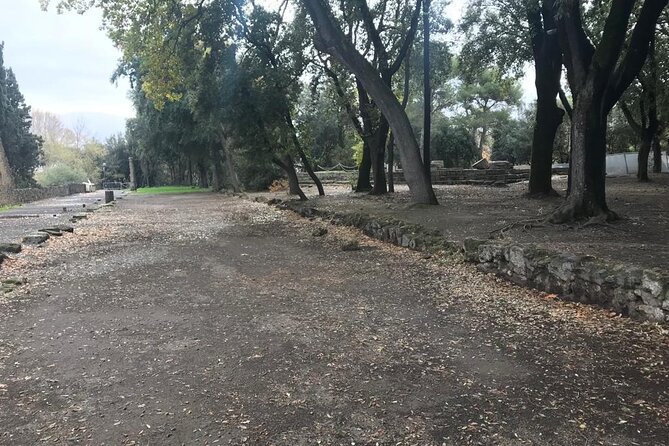 Pompeii Small Group Guided Tour with Skip-the-line Admission - Why this Pompeii tour works in about 2 hours