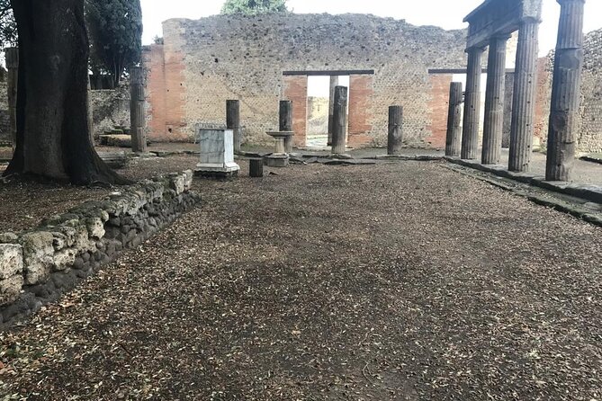 Pompeii Small Group Guided Tour with Skip-the-line Admission - Famous houses: what wealth and design looked like