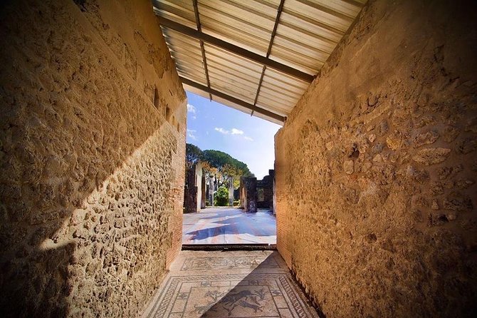 Pompeii Small Group Tour & Food/Wine tasting at Mt. Vesuvius - Skip-the-line Pompeii with a real archaeologist: what you’re paying for