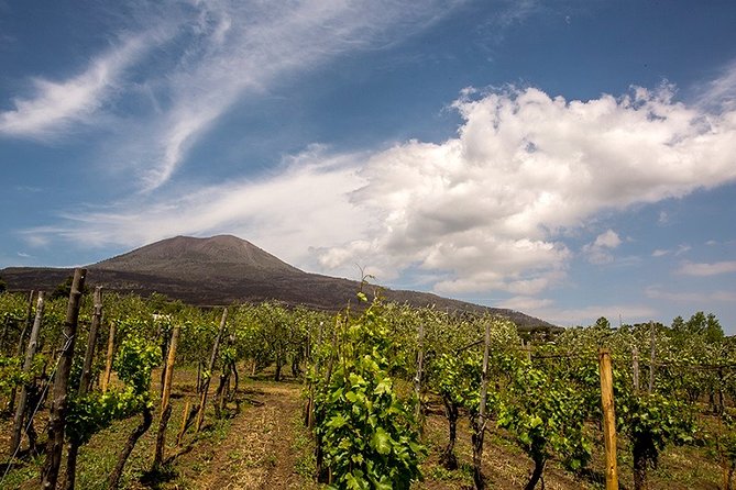 Pompeii Small Group Tour & Food/Wine tasting at Mt. Vesuvius - Who this Pompeii + wine tour is best for