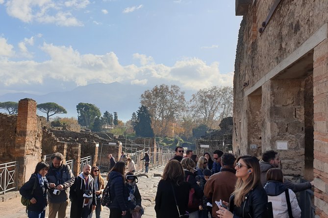 Pompeii tour with entrance ticket! - The Pompeii Archaeological Park Walk: Building a Sense of the City