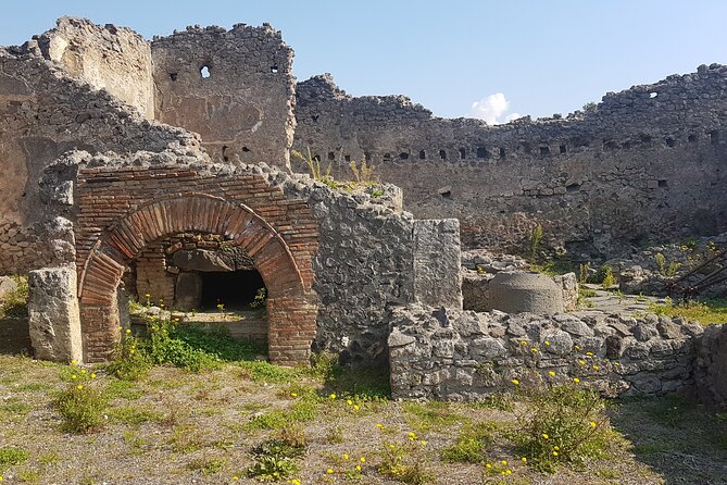 Pompeii Tour with experienced guide - Amphitheater, Gladiator Gym, and the Places People React To