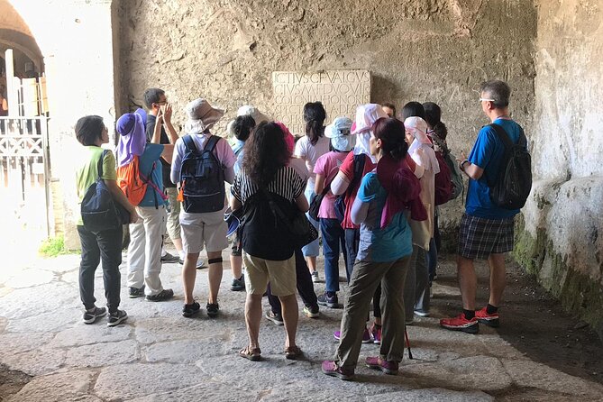 Pompeii Tour with experienced guide - What to Expect During the Walk (and Where You Might Feel Limited)