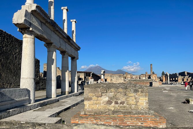 Pompeii, Vesuvius & wine tasting from Positano all inclusive - Casa Setaro Winery in Trecase: wine tasting with a strong sense of place