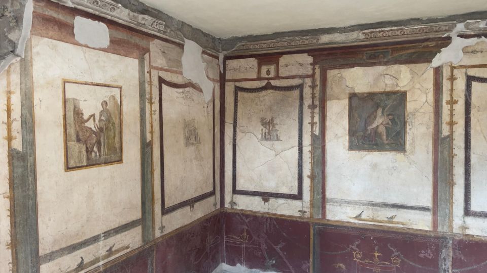 Pompeii-Vesuvius & Winery All Inclusive Tour From Positano - The small-group advantage: up to 10/12 people, not a bus tour