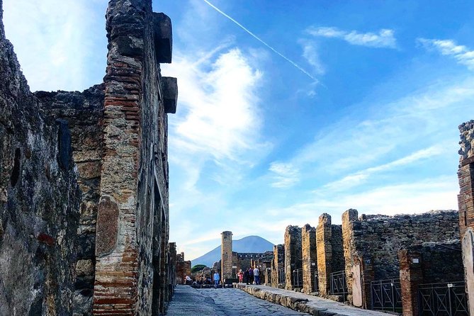 Pompeii & Vesuvius with Wine Tasting from the Coast - Full-Day Sorrento Pickup and a Tight, Efficient Schedule