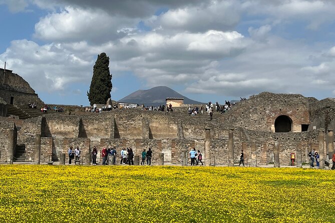 Pompeii walking tour (2hrs) - Pompeii in 2 hours: what a good private walk changes