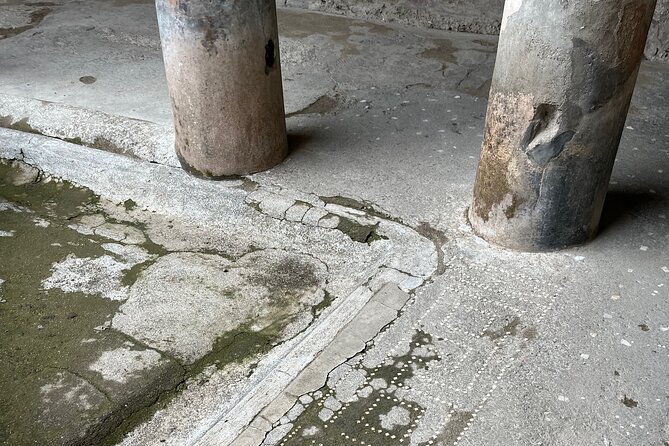 Pompeii walking tour (2hrs) - Thermal baths and the gladiators’ gym: the daily life behind the ruins