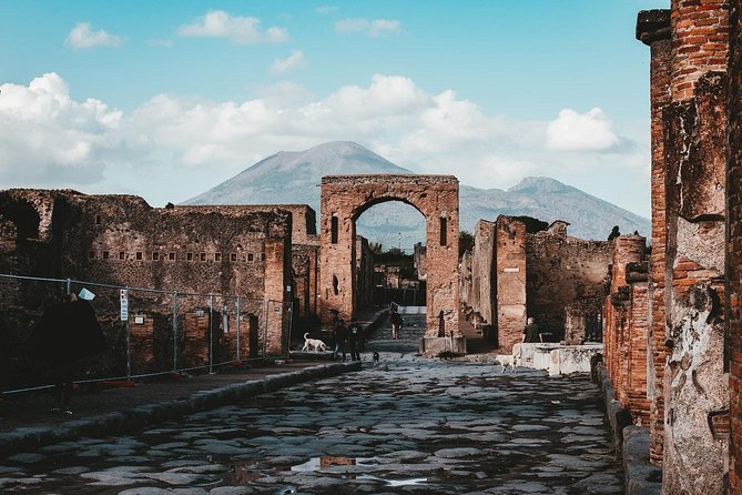 Pompeii Walking tour with Guide and ticket - Meeting Point and Timing: Hotel Vittoria at 9:30am