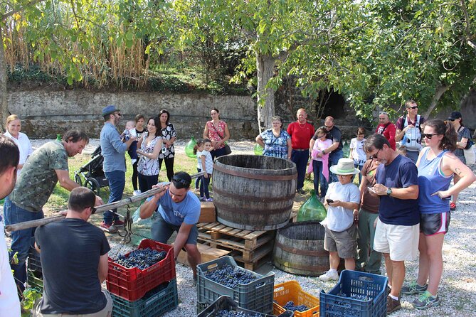 Pompeii Wine Tasting Tour from Positano - The wine tasting format: what “four wines with lunch” can feel like