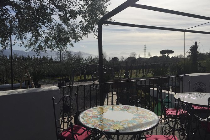Pompeii-Wine tasting tour from Sorrento, licensed guide included - Getting your Pompeii ticket right: TicketOne at 9:00 AM and free first Sundays