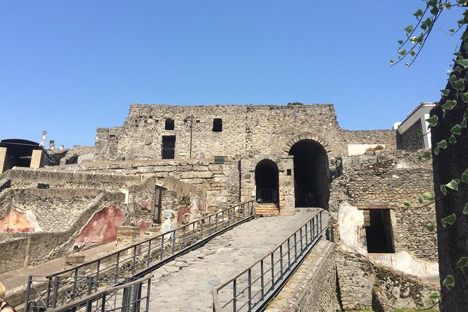 Pompeii-Wine tasting tour from Sorrento, licensed guide included - Who should book this Pompeii–wine tour (and who might want another plan)