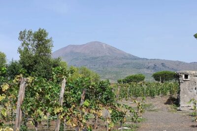 Pompeii & Wine Tour from Sorrento (tickets & lunch not included) - Pompeii Archaeological Park: the big call is tickets (and pace)