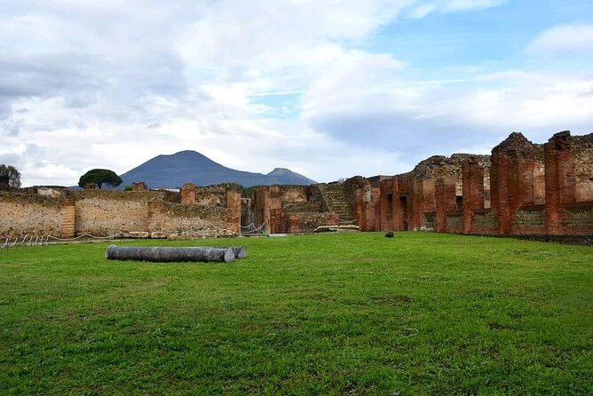 Pompeii & Wine Tour from Sorrento (tickets & lunch not included) - Price and value: what you’re paying for