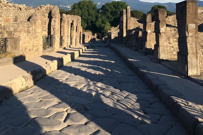 Pompeii with an archaeologist, the original!!! - Where you’ll start: Ristorante Suisse in Piazza Esedra