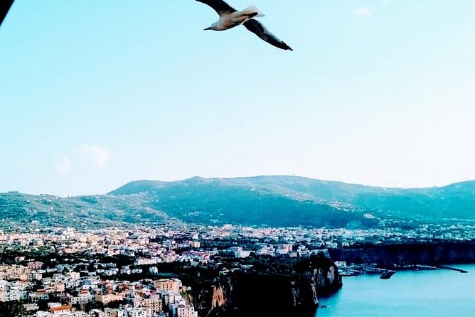 Positano - Pompeii - Pompeii Archaeological Park: What Two Hours Really Means