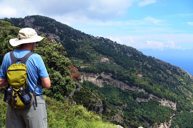 Private Amalfi Coast Tour with Path of the Gods - Pacing and motion-sickness reality on Amalfi roads
